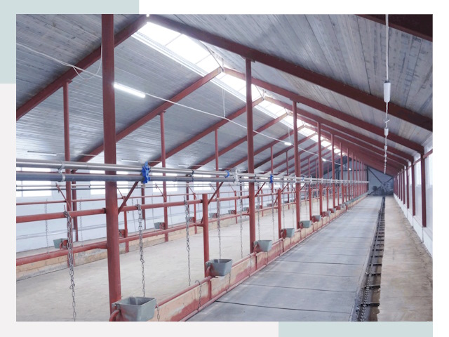 Строительство коровников в Лысьве от 615 руб.