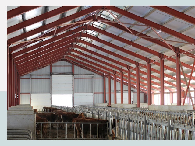 Строительство коровников в Лысьве