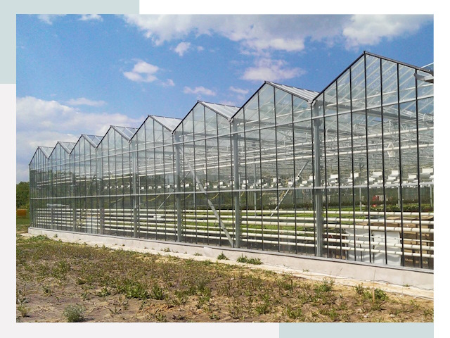 Строительство теплиц в Лысьва от 615 руб. за м²